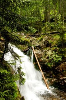 Rißlochfälle