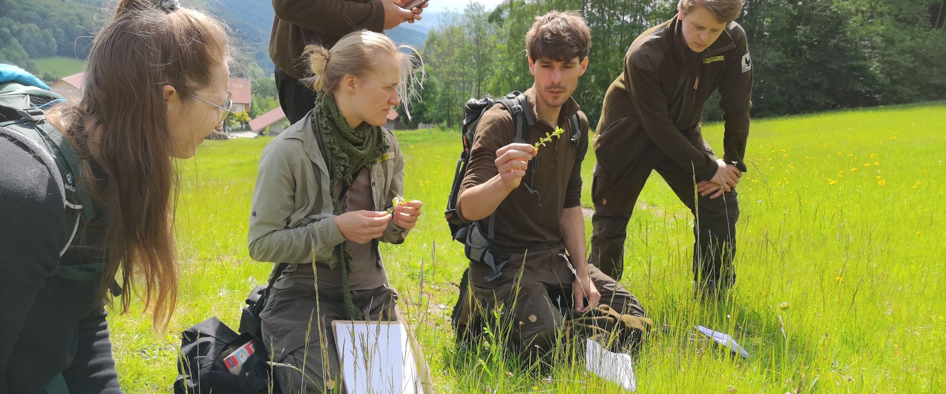 © Naturpark Bayerischer Wald