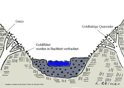 Querschnitt