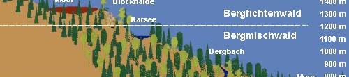 Ökosysteme im Mittelgebirge