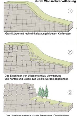 Entstehung der Wollsäcke