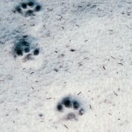 00187.jpg