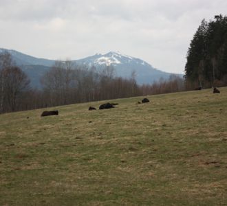 Winterlich im Frühling