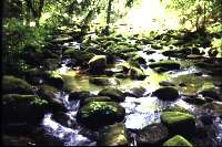 Die Saußbachklamm 