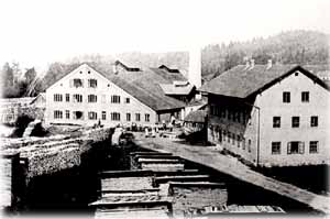 Glashütte mit Holzlager für die Holzkohleköhlerei