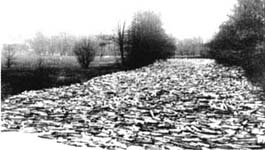 aus: Das (s)achte Weltwunder im Böhmerwald/Sumava - © Archiv Lehner/Seidl